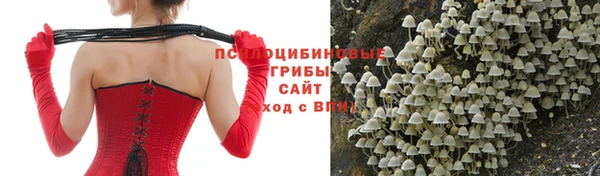 кокаин премиум Бородино