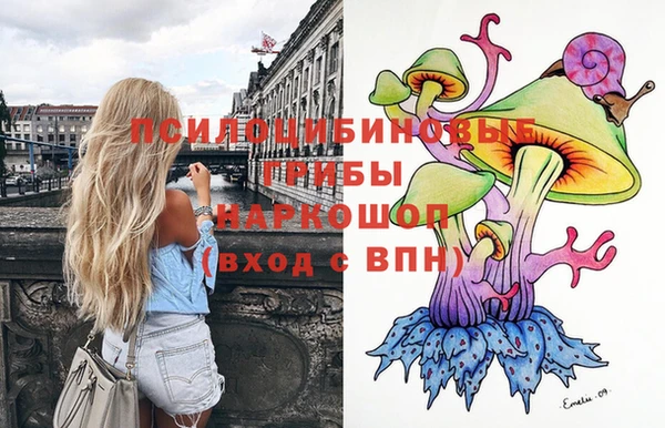 гидра Бугульма