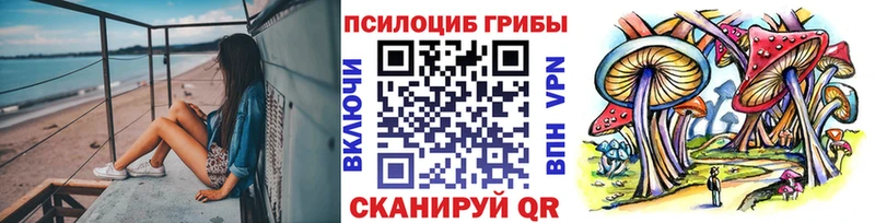 hydra сайт  Пойковский  Галлюциногенные грибы Psilocybine cubensis 
